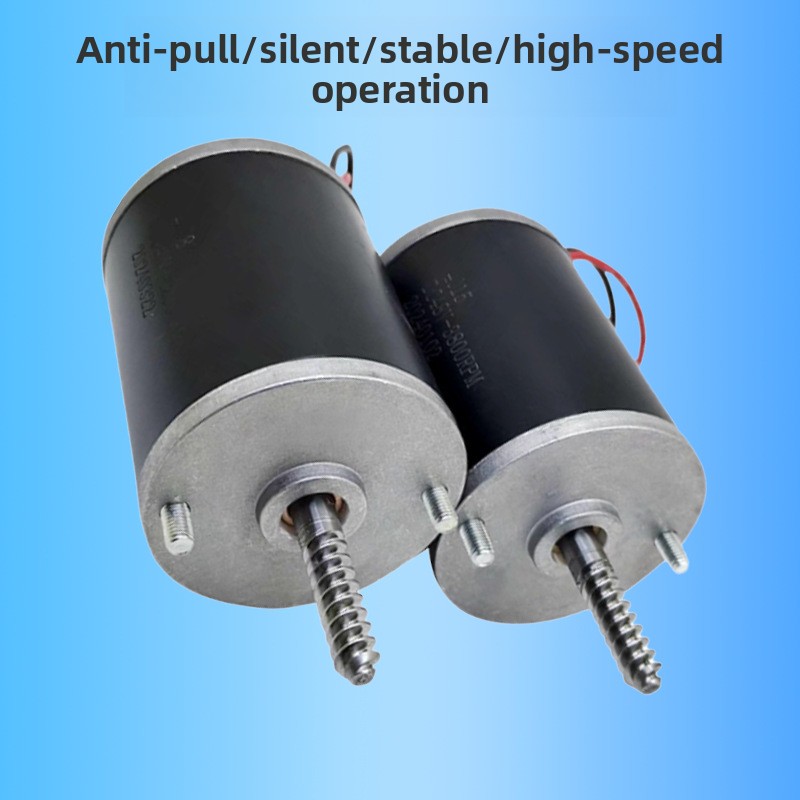 Anti Pull Crane Motor 24V 48V  - Crane Claw Motor review and price