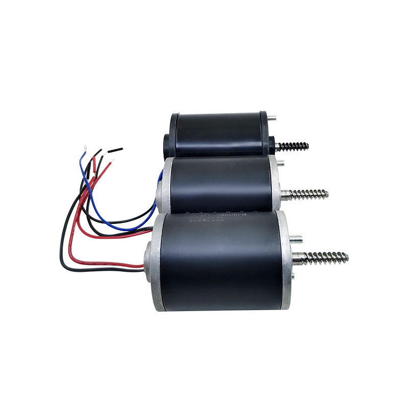 Durable 24V 48V Motor for Claw - Crane Claw Motor review and price