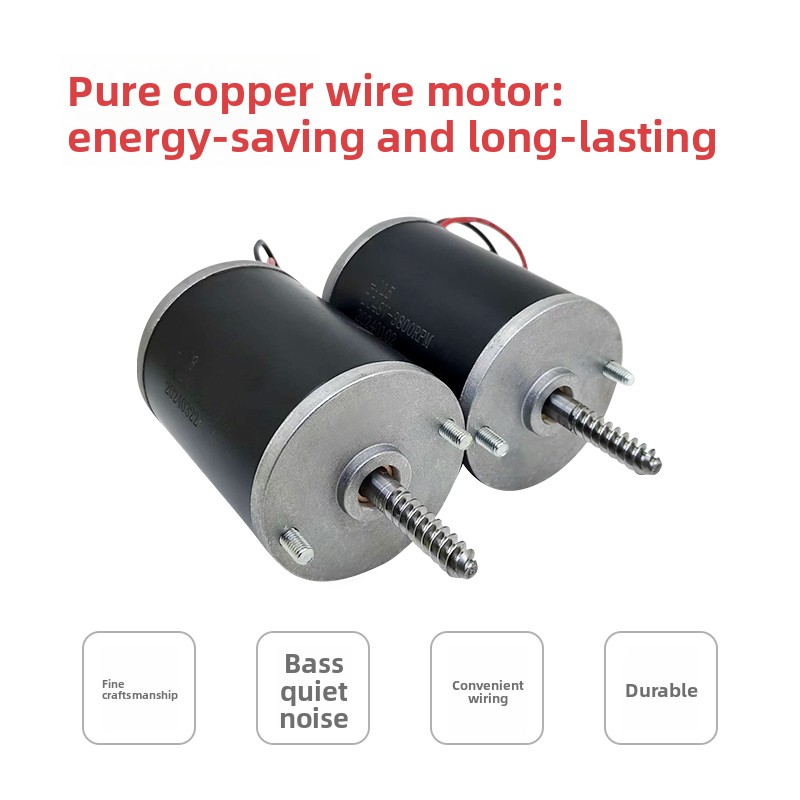 Durable 24V 48V Motor for Claw - Crane Claw Motor review and price