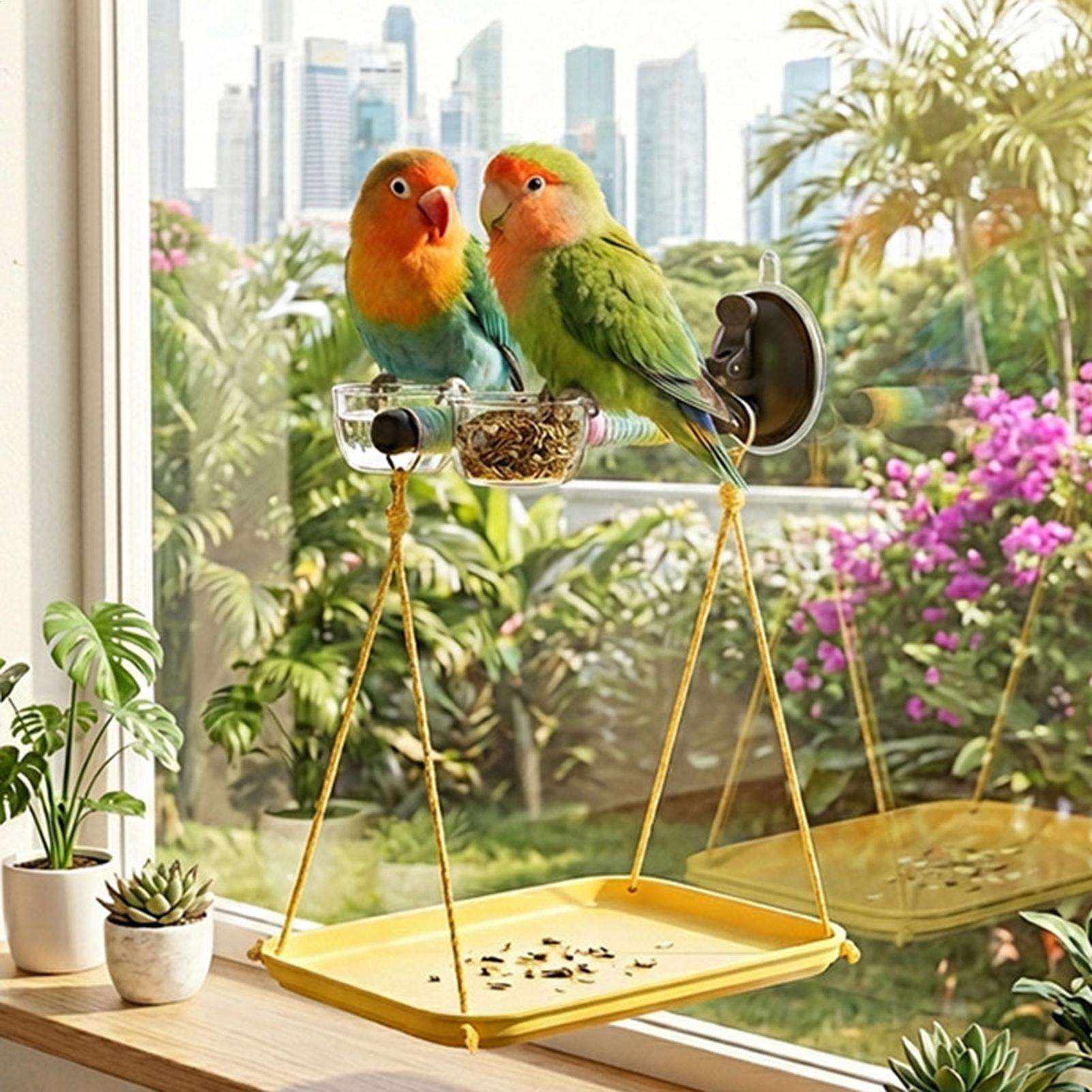 Bird Perch with Suction Cup an - Racing Arcade Cabinet review and price